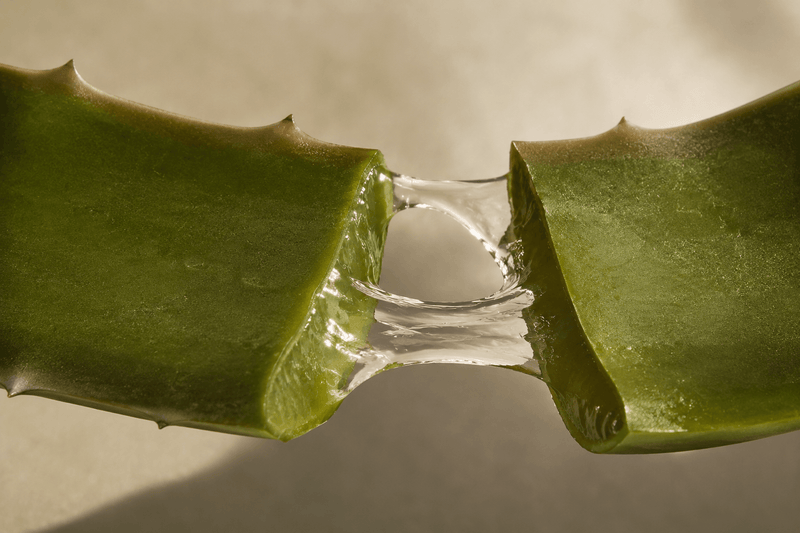 Aloe Vera in Skincare: Why Young Skin Responds So Well to It