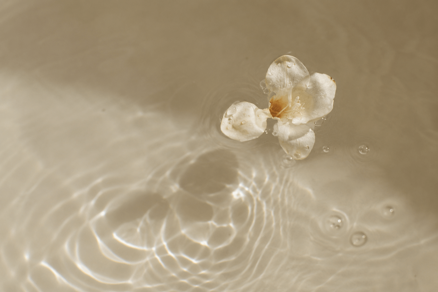 The End of Overcomplicated Skincare