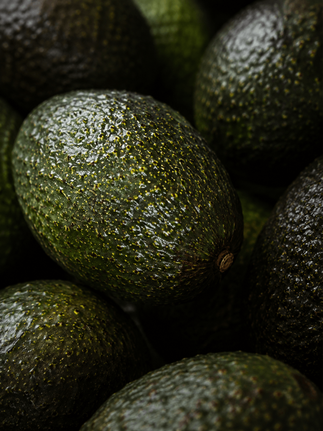 Close-up of green avocados with a dark background Suvera Skincare, natural vegan skincare, skincare rituals