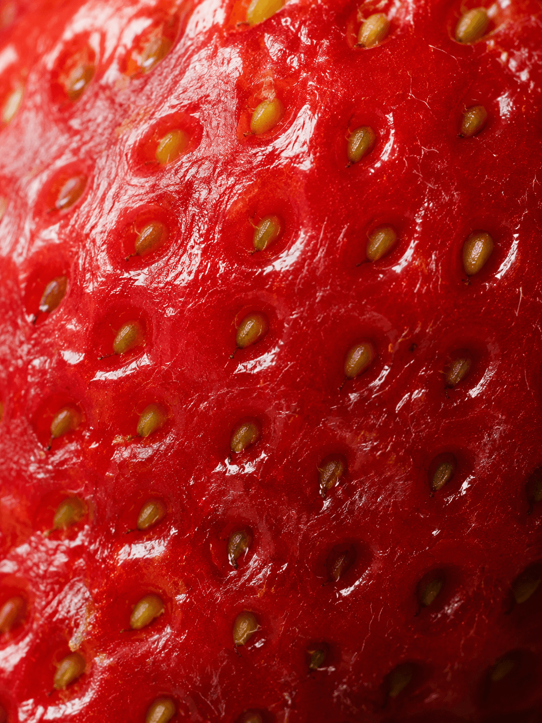 Close-up of a red strawberry with seeds Suvera Skincare, vegan skincare