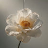 Natural flower with oil skincare product leaking on top of it Suvera Skincare, luxury skincare, healthy-looking skin